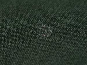 防潑水布梳化；日式梳化；日系梳化；低背梳化；皮梳化；2座位梳化；平價梳化；平梳化推介；租樓傢俬；租屋傢俬；日系小清新綠色梳化