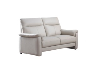 真皮梳化；歐式現代梳化；2座位梳化；米灰色梳化