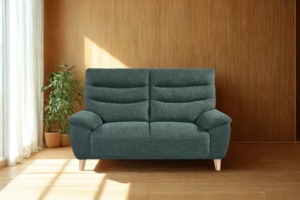 防潑水布梳化；日式梳化；日系梳化；低背梳化；皮梳化；2座位梳化；平價梳化；平梳化推介；租樓傢俬；租屋傢俬；日系小清新綠色梳化